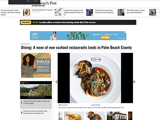 City of Boca Raton placement in PalmBeachPost.com by Polin PR